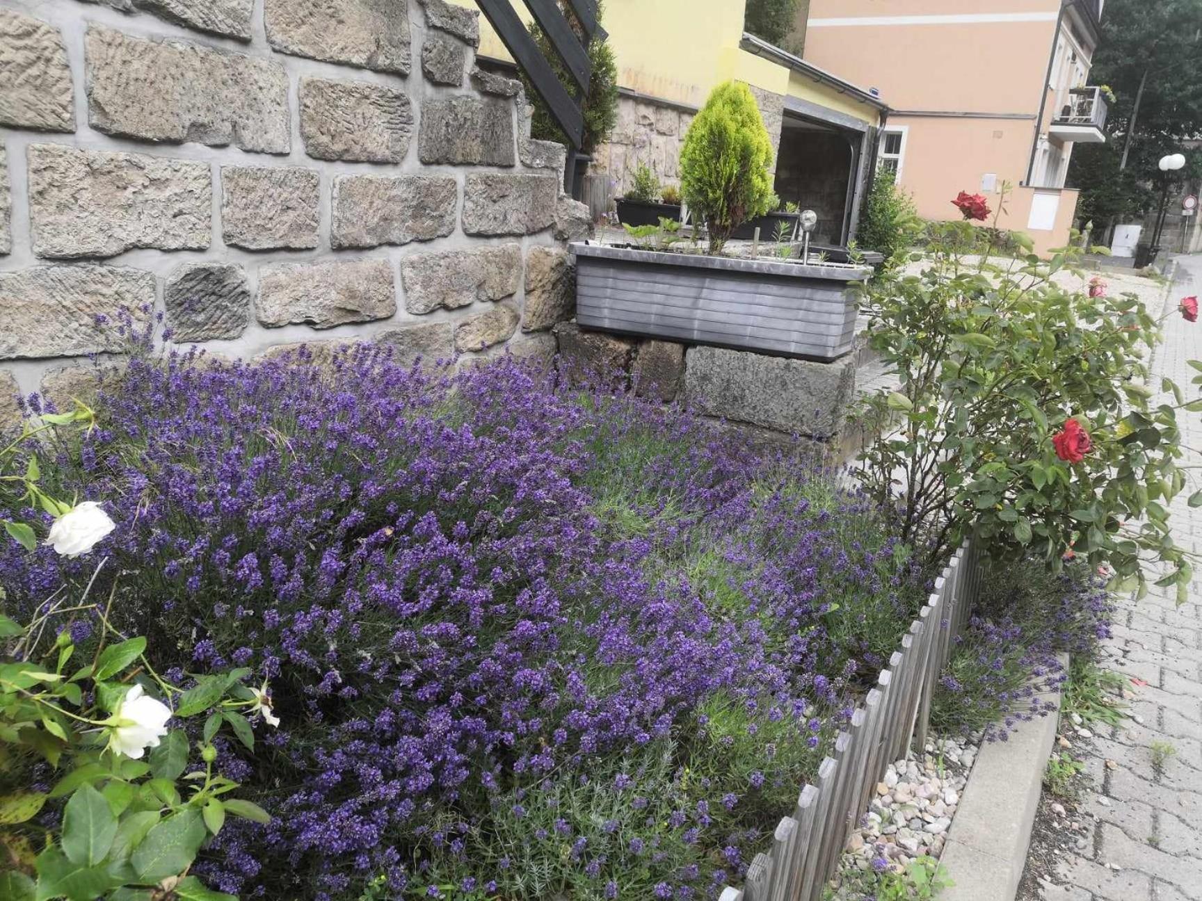 Apartament Hrensko32 Zewnętrze zdjęcie